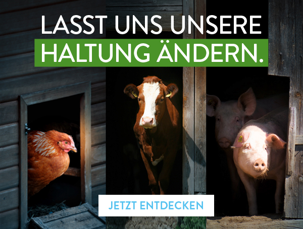 Lasst uns unsere Haltung ändern.