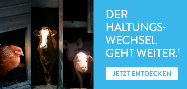 Haltungswechsel bei ALDI: Ein Huhn, eine Kuh und 2 Schweine kommen aus dem Stall raus.