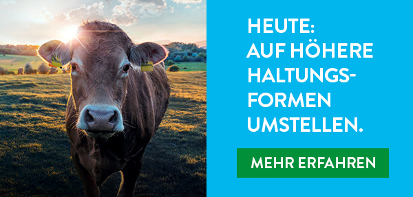 Heute: Auf höhere Haltungsformen umstellen. Jetzt entdecken.