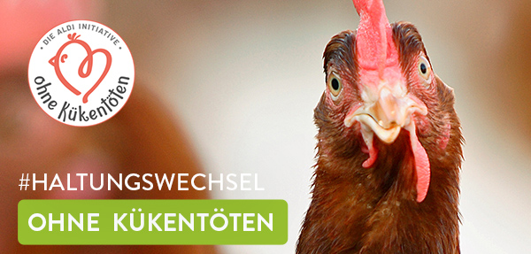 Haltungswechsel. Ohne Kükentöten.
