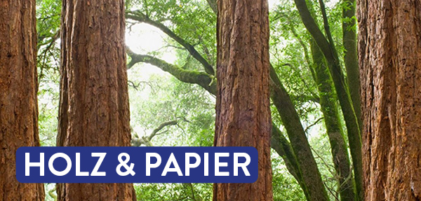Holz und Papier